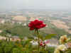 15_fermo_2003.jpg (56954 byte)