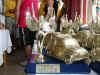 17_fermo_2003.jpg (73668 byte)