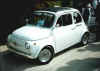 corridonia_14_2002.JPG (20082 byte)