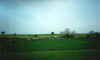 corridonia_20_2002.JPG (13848 byte)