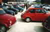 corridonia_5_2002.JPG (39262 byte)
