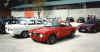 corridonia_6_2002.JPG (27411 byte)