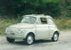 enzo.jpg (38198 byte)