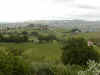 montale_2004_10.JPG (66088 byte)