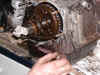 mot25.jpg (75805 byte)