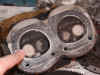 mot33.jpg (73515 byte)
