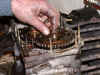 mot44.jpg (69432 byte)
