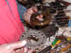 mot45.jpg (72506 byte)