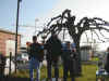 recanati_2003_prem.jpg (56253 byte)