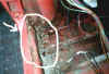 rest_7.jpg (30236 byte)
